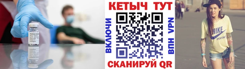 где можно купить   Коряжма  Кетамин VHQ 