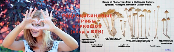 прущая мука Горно-Алтайск