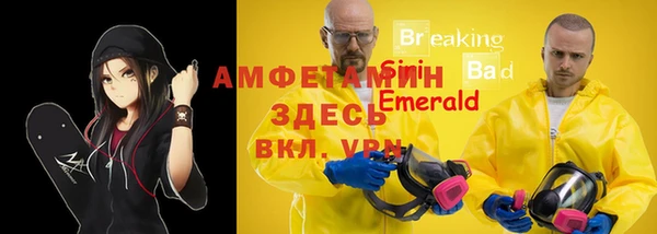 сатива Горняк