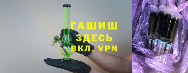 сатива Горняк