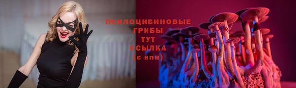сатива Горняк