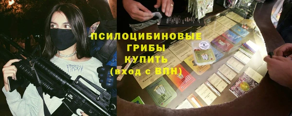 apvp Горнозаводск