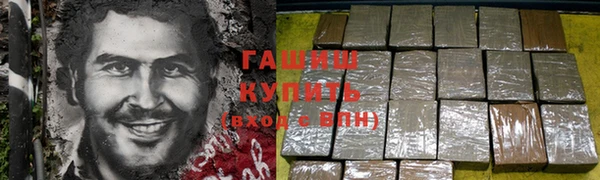 сатива Горняк