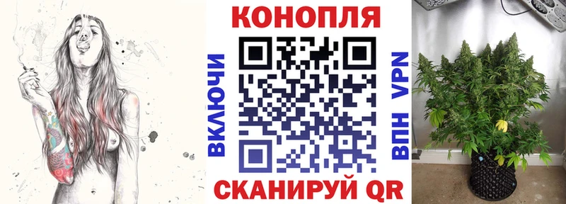 МАРИХУАНА планчик  Коряжма 